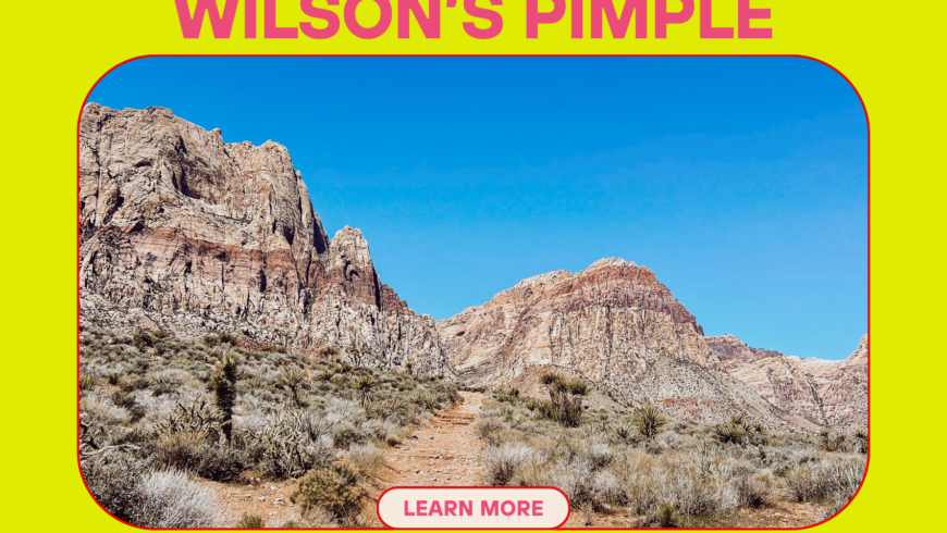 Blog header image of a red rock mountain landscape. The mountain landscape is on a bright yellow background with pink text that reads, "Hike review tips & tricks. Red Rock Canyon, NV, Panoramic Mountain Views. Wilson's Pimple. Everything you need to know about this 4 mile looping trail in Red Rock Canyon National Conservation Area, just minutes off the Las Vegas Strip."